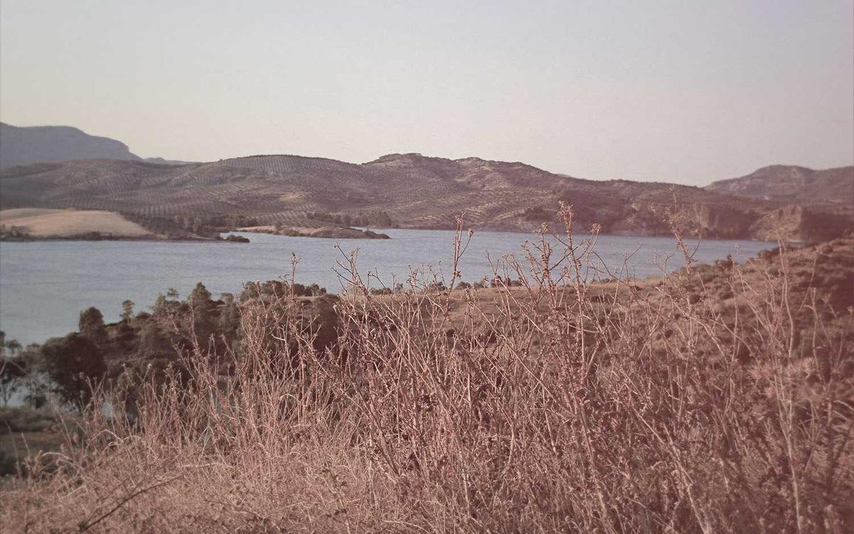 Απορρίμματα και ευθύνη παραγωγού