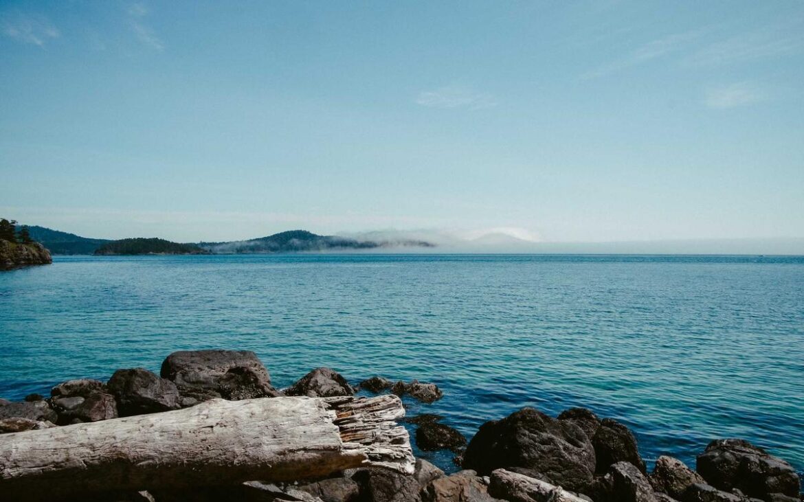 Δημόσιο χρέος και δημοσιονομικός χώρος